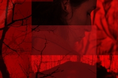 Le Petit Chaperon Rouge