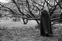 Le Petit Chaperon Rouge