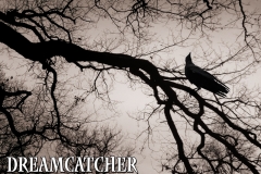 Dreamcatcher 1er album Pochette Digipack