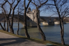 Avignon